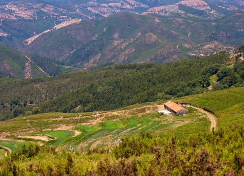 Circuit Charmes de l'authentique Algarve 4* - 16