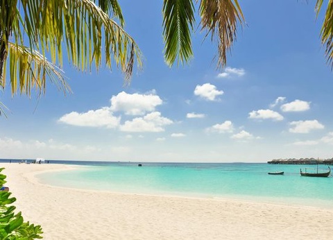 Circuit Merveilles du Sri Lanka et Extension Fihalhohi Island 4* Maldives - 18