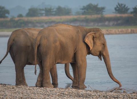Circuit Essence du Népal, Voyage Ethique et Responsable en Privatif - 6