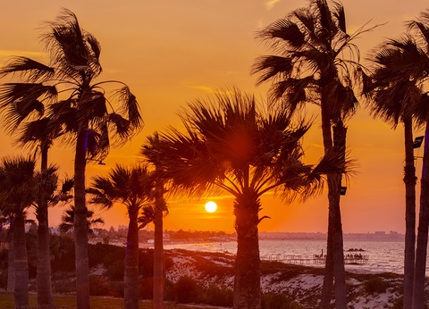 Hôtel Hilton Skanes Monastir Beach Resort 5* - 17