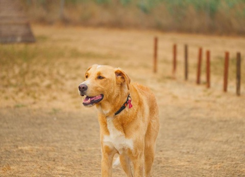 Gitavillage Club degli Amici - 30