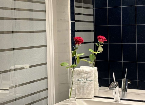 Séjour 5* près d'avignon avec accès spa inclus - 5* - 16