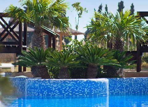 Escapade relaxante avec demi-pension et accès à l'espace bien-être - 4* - 31