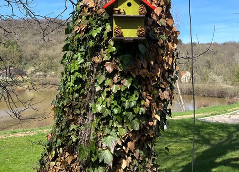 Camping La Croix du Bois Sacker - 31