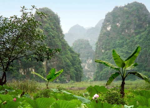 Circuit Vietnam Multicolore - 27