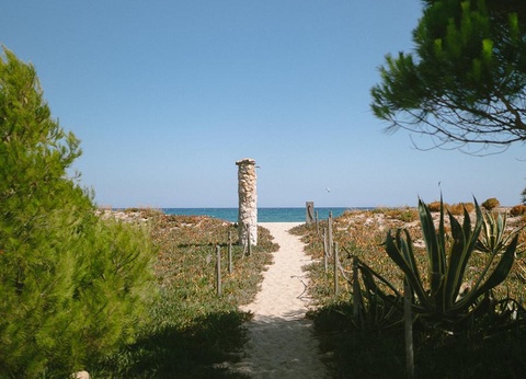 Camping Miramar - 13