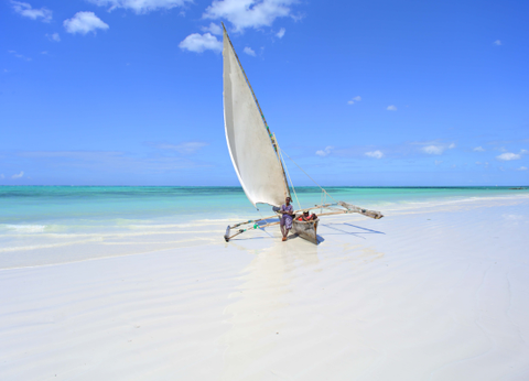 Hôtel Zanzibar BlueBay Beach Resort and Spa 5* - 15