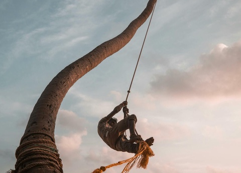 Circuit Quiétude sur l'île émeraude - 10