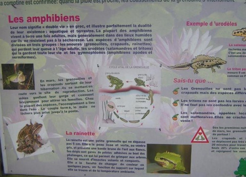 Camping Le Mont Joli Bois, 3* - 48