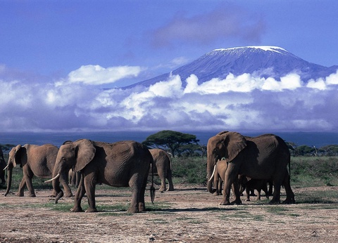 Circuit Douceurs du Kenya - 10