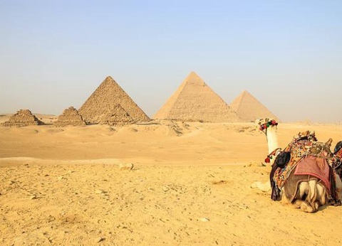 Combiné Papyrus et Pyramides d'Egypte - 6