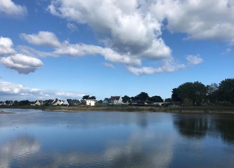 Camping Le Bois d'Amour - 15