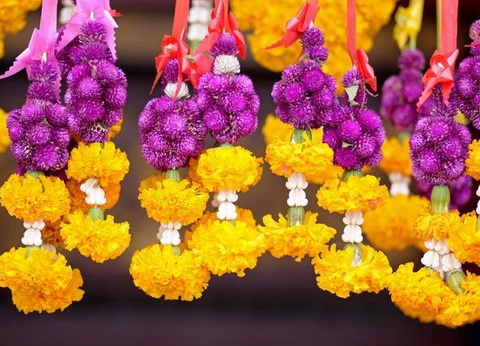 Thailande Essentielle - 12