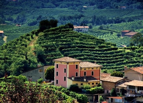 Circuit Richesses de la Vénétie à Trieste 3* - 12