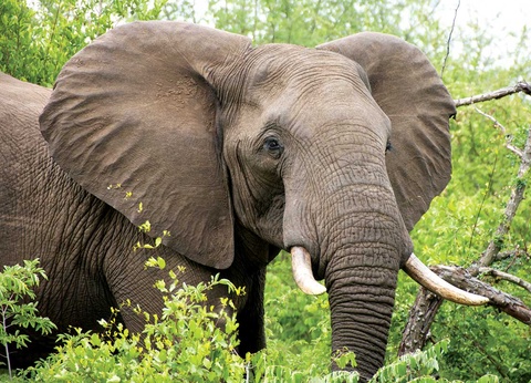 Circuit Canyons et safaris - 3