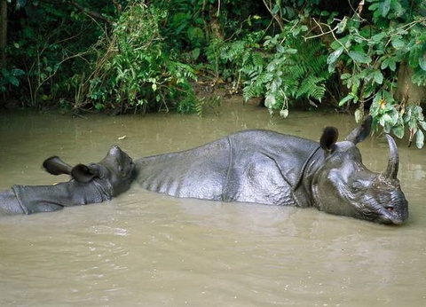 Népal Intimiste - 11