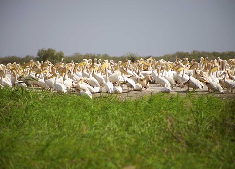 Croisière À bord du Bou el Mogdad - 3