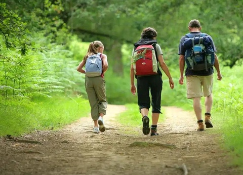 Camping Le Colporteur - Ciela Village, 4* - 54