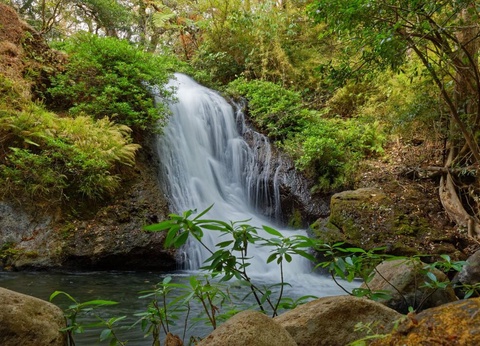 Circuit entre Jungles et Forêts du Costa Rica + extension Playa Samara - 33