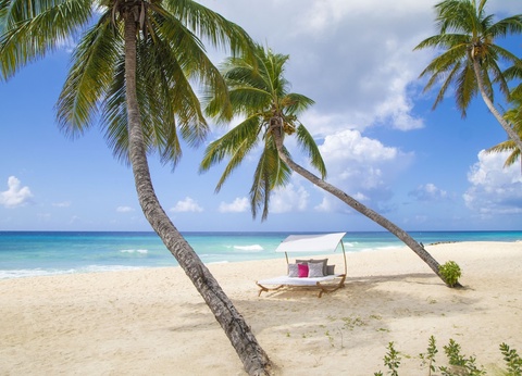 Hôtel O2 Beach Club et Spa by Ocean 5* - 60