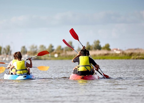 Camping L'Abri des Pins, 4* - 47