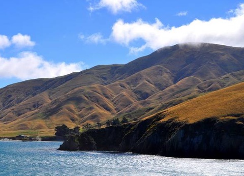 Circuit Fjords et Maoris - 16