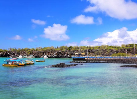 Circuit L'Équateur entre nature et authenticité + extension Galapagos (maximum 16 participants) - 16