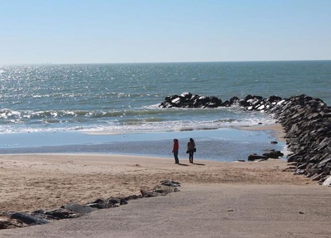 Camping Parfums d'Eté 4* - 61