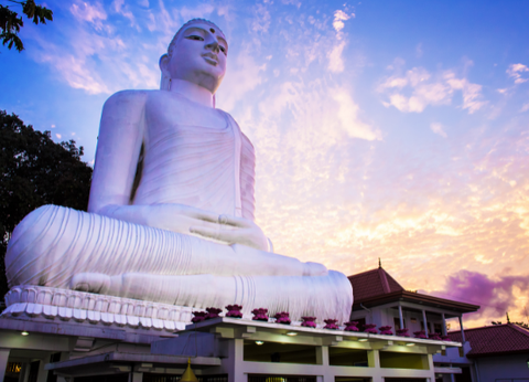 Circuit Le Royaume des Eléphants et plage en privatif - 25