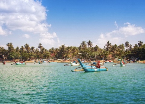 Circuit privé Ceylan buissonnier - 4