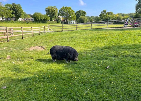 Camping Siblu Domaine de Litteau - Funpass inclus 4* - 24