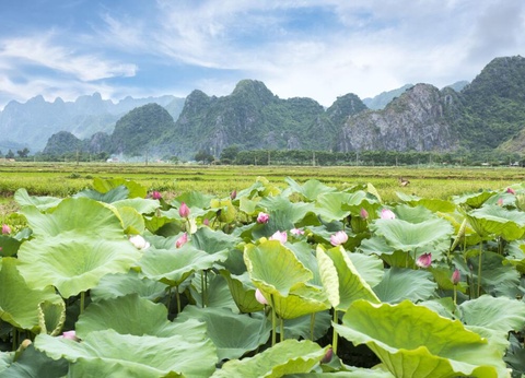 Circuit Privatif l'Essentiel du Vietnam - 2
