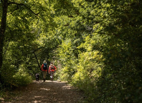 Camping Les Calquières, 4* - 52