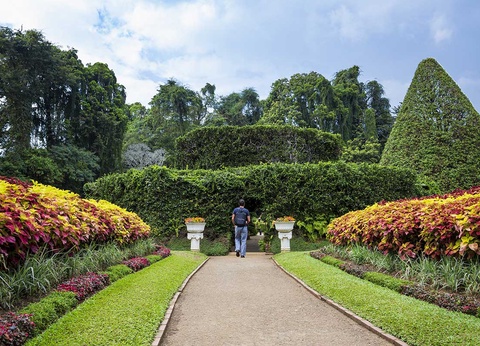 Circuit Au pays de l'or vert - 13