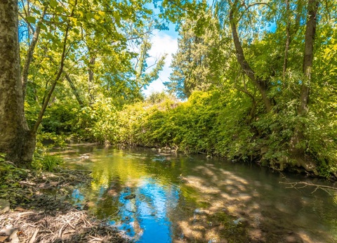 Flower Camping Les Tomasses, 4* - 8