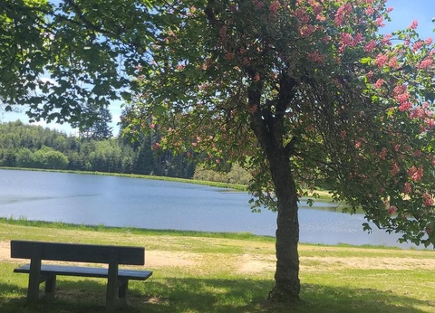 Camping La Chanterelle, 3* - 27