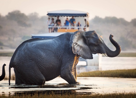 Circuit Terres d'Afrique Australe : de Kruger à Chobe **** - 18