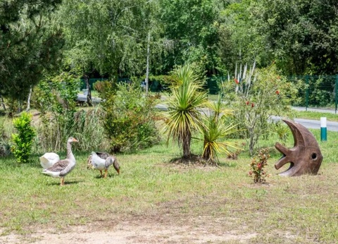 Camping maeva Escapades Les Etangs Mina, 3* - 71