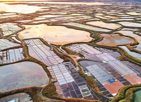 Flower Camping La Blanche Hermine, 3* - 40