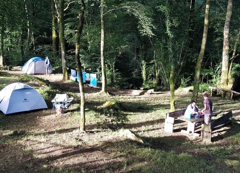 Camping La Forêt, 4* - 44