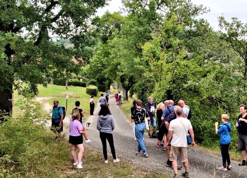 Camping Quercy Vacances, 4* - 12