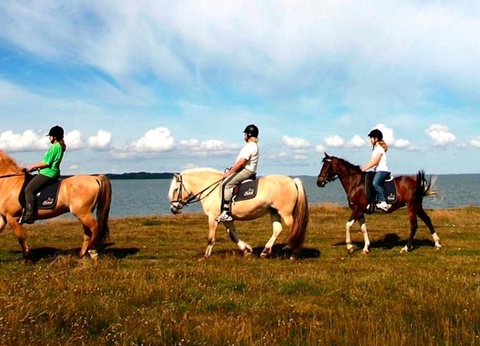 Camping L'Abri des Pins, 4* - 225