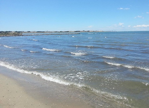 Camping Abri de Camargue, 4* - 99