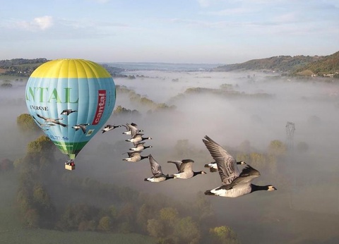 Flower Camping Le Belvédère, 4* - 45