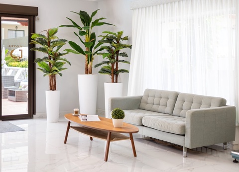 Hôtel Don Manolito 3* - 25