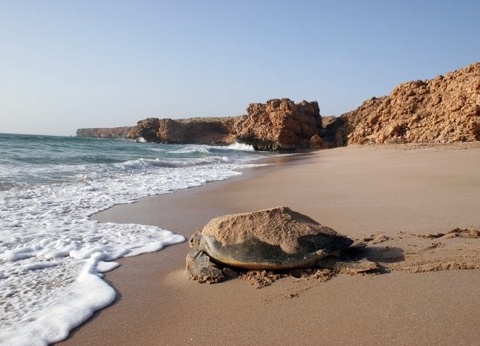 Circuit Oman, terre de traditions - 16