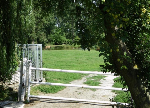 Camping L'Etang Aux Hirondelles, 2* - 10