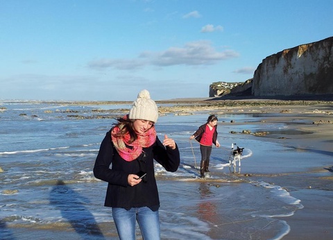 Camping Le Mont Joli Bois, 3* - 41