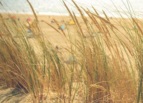 Camping Siblu les Embruns Funpass inclus, 4* - 27