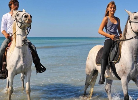 Camping Eden, 5* - 34